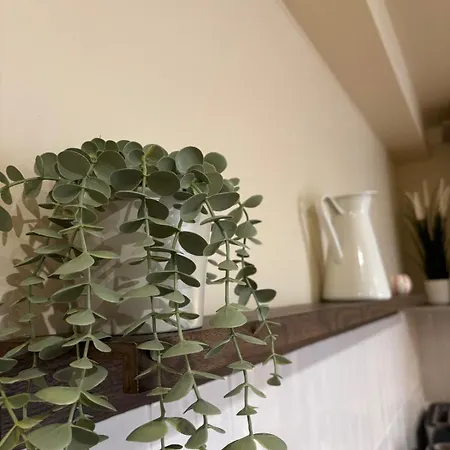 公寓 L'olivier - Cozy Au Centre De *