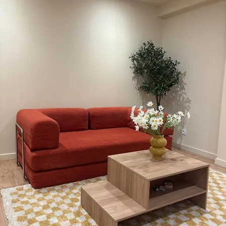 公寓 L'olivier - Cozy Au Centre De 普瓦捷