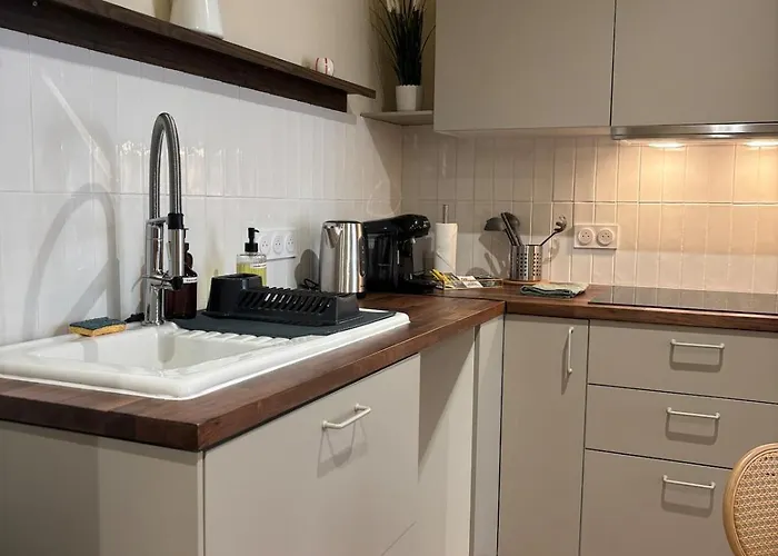 Apartamento L'olivier - Cozy Au Centre De Poitiers